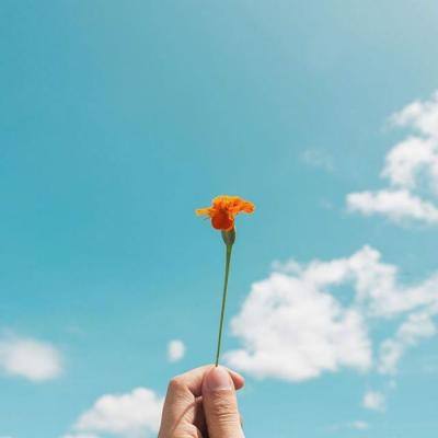 Bsports网页版登录