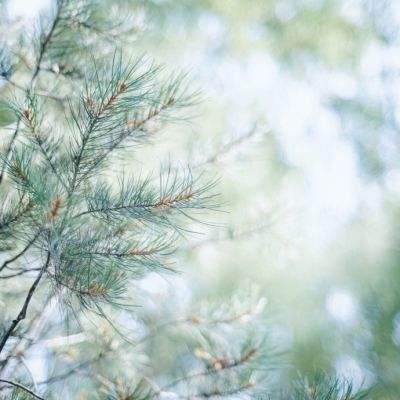 米乐下载地址app下载截图