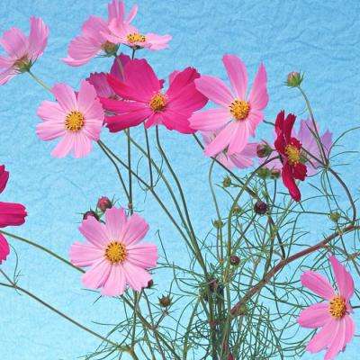 九博体育手机版